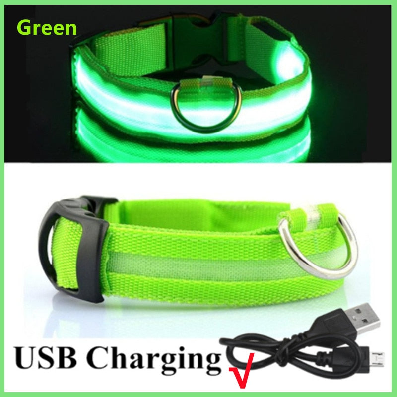 GlowGuard - LED hundhalsband usb