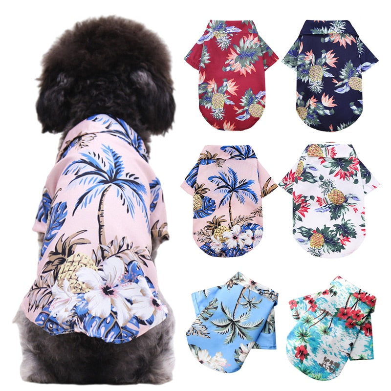 Hawaii skjortra hund