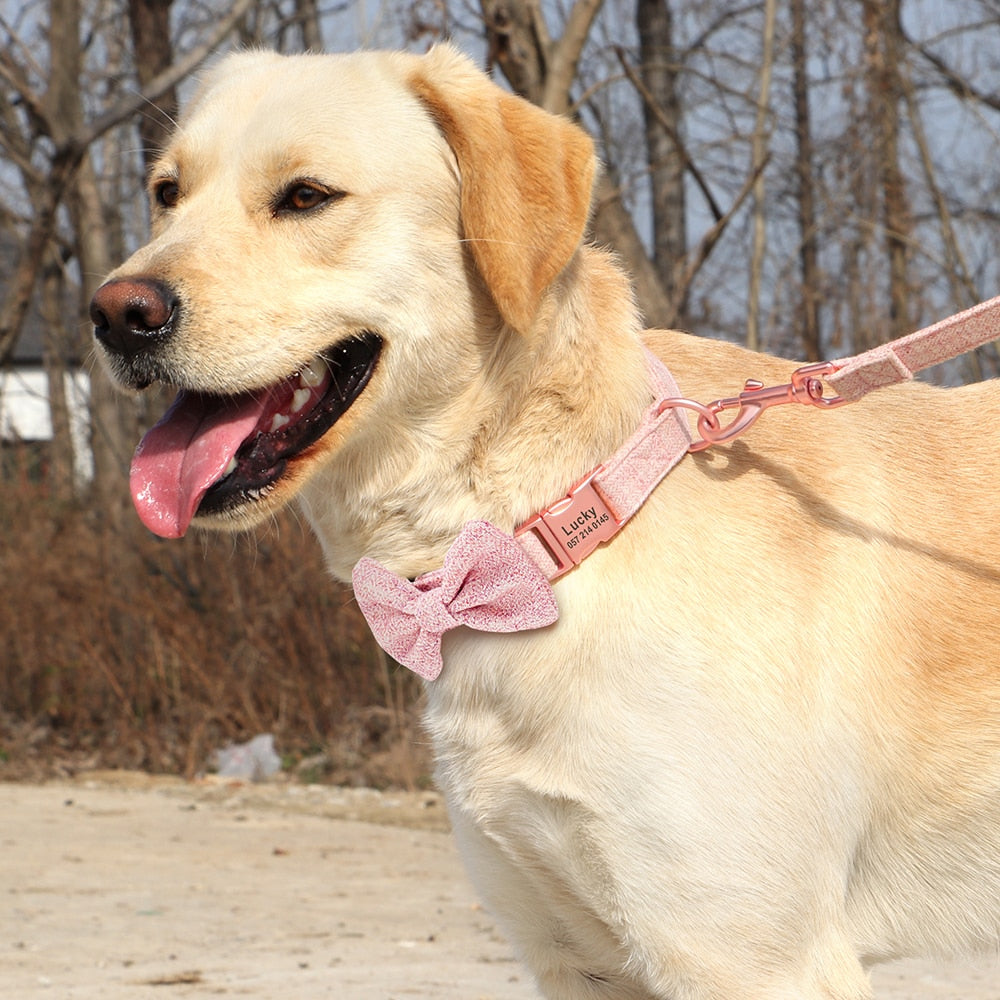 Ljusgrått Hundhalsband med fluga