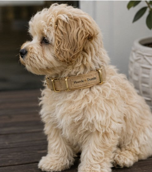 Halsband – Beige