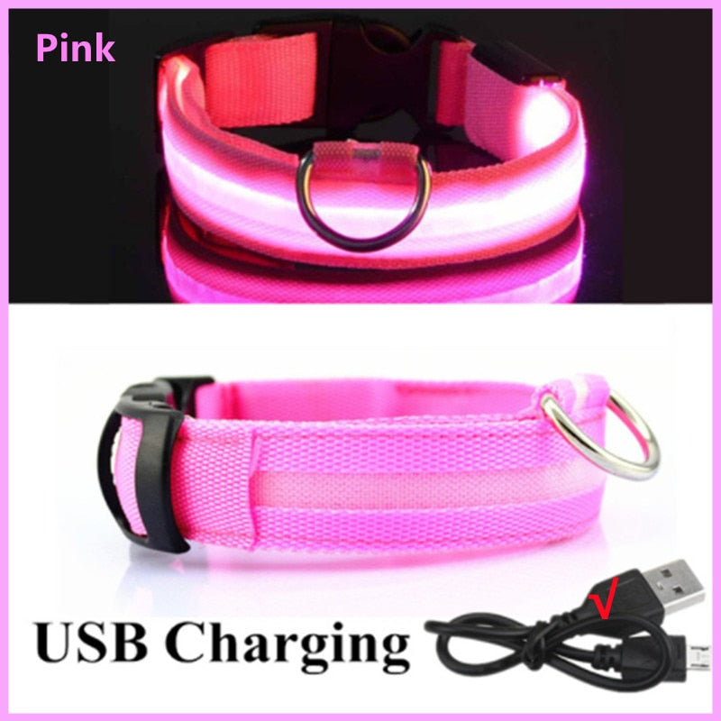 GlowGuard - LED hundhalsband usb