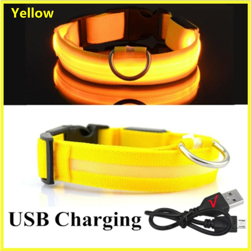 GlowGuard - LED hundhalsband usb