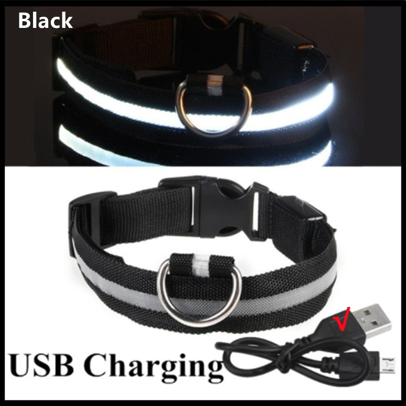 GlowGuard - LED hundhalsband usb