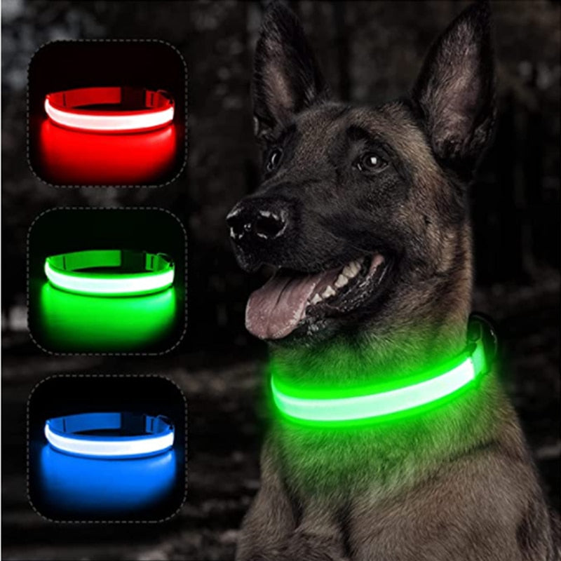 GlowGuard- LED hundhalsband batteri