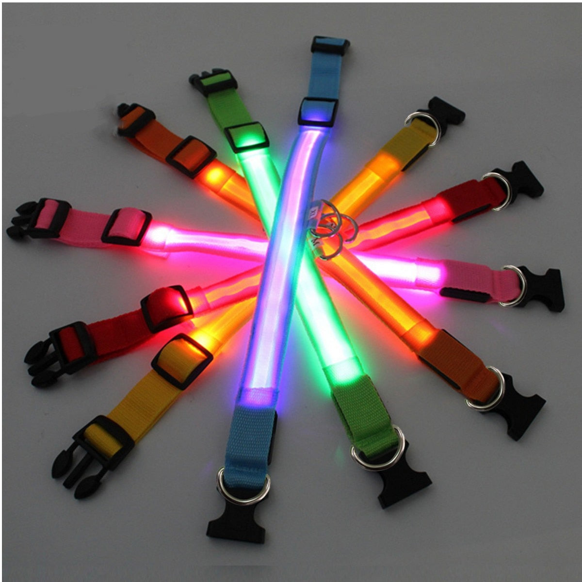 GlowGuard- LED hundhalsband batteri