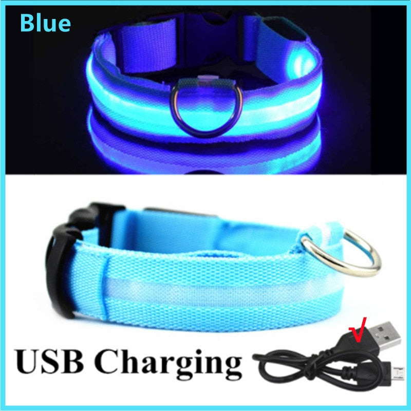 GlowGuard - LED hundhalsband usb