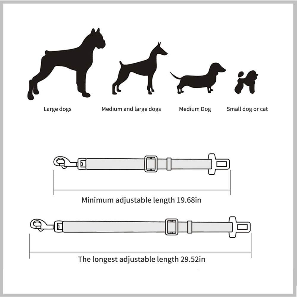 Bilbälte för hund