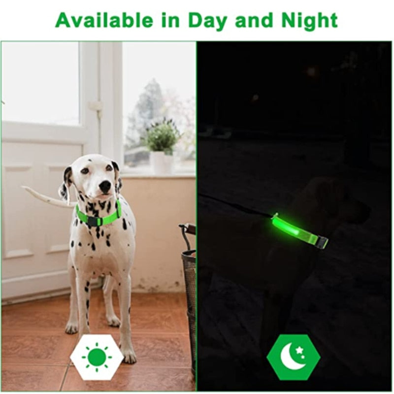 GlowGuard- LED hundhalsband batteri