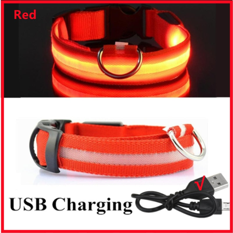 GlowGuard - LED hundhalsband usb