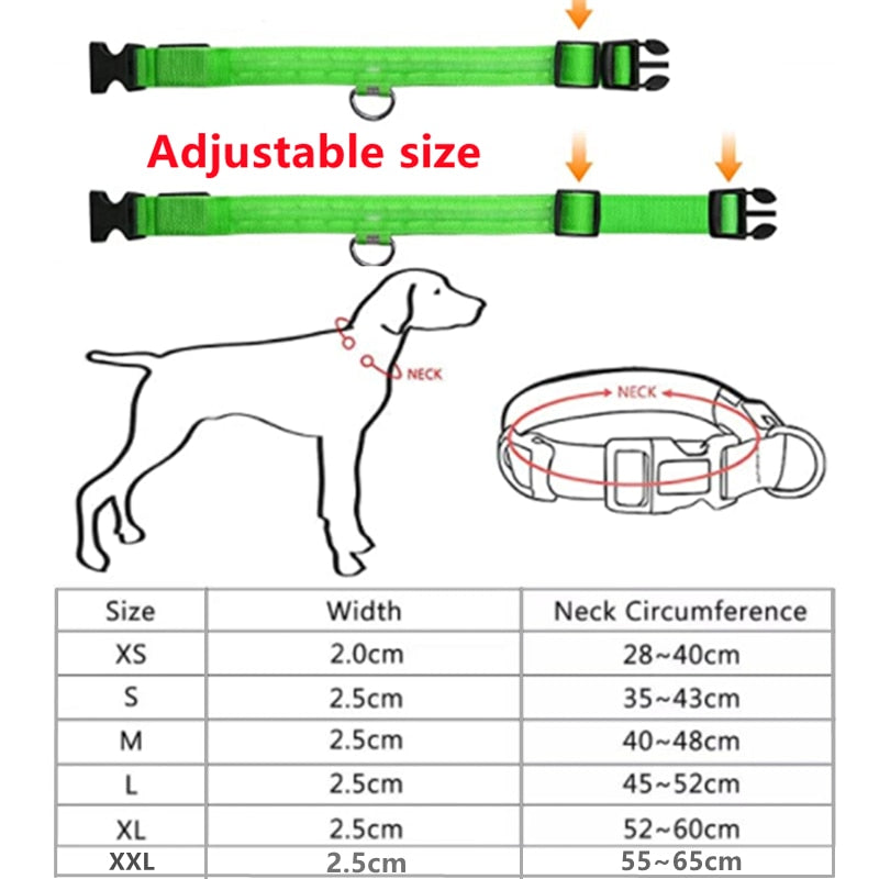 GlowGuard- LED hundhalsband batteri